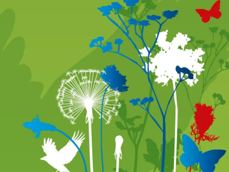 Gezeichneter roter Schmetterling und weißer Adler auf grünem Grund schweben über einer Blumenwiese