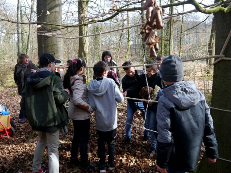 Kinder an einer Art Spinnennetz aus Seilen im Wald. 