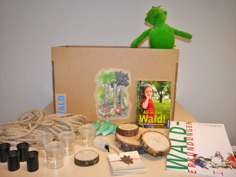 Aktivkiste Wald mit Broschüren, Baumstammscheiben, Bodenproben, Blätter-Karten und Seil sowie Stoffpuppe, die auf einem Tisch präsentiert werden
