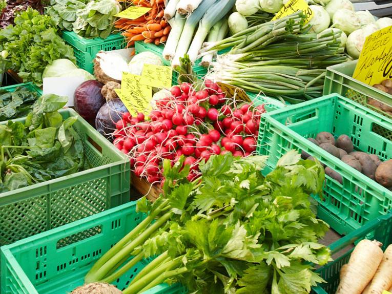 Gemüseauslage auf einem Wochenmarkt: Radieschen, Sellerie, Mangold, Lauch, Rotkohl, Salat, Kohlrabi, Zwiebeln, Kartoffeln und Pastinaken