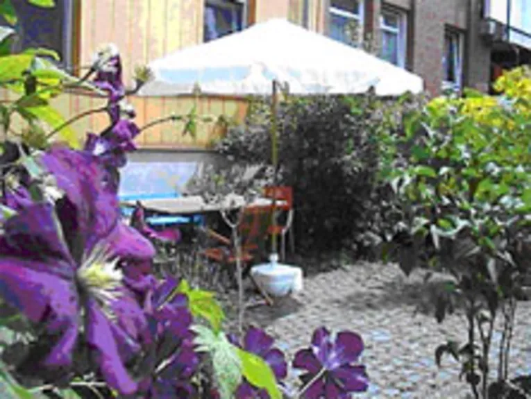 Waldreben im Innenhof