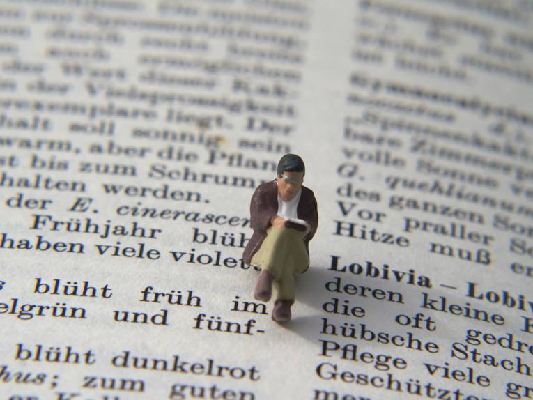 Ein kleines Figürchen sitzt auf einem aufgeschlagenen Buch und liest.