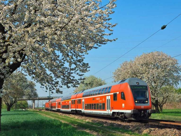 Ein Zug fährt an blühenden Bäumen vorbei