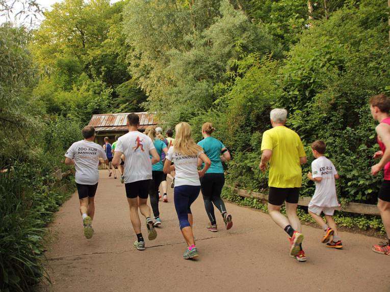 Laufende Menschen im Zoo. 