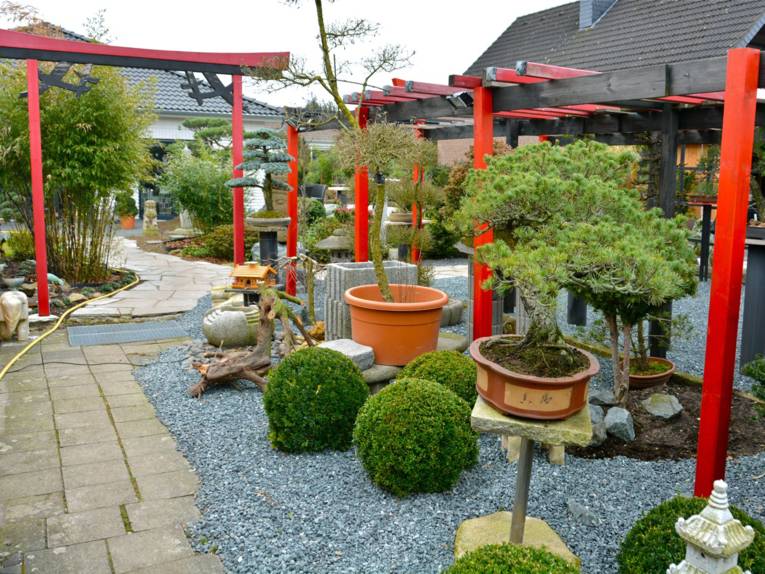Bonsaigarten