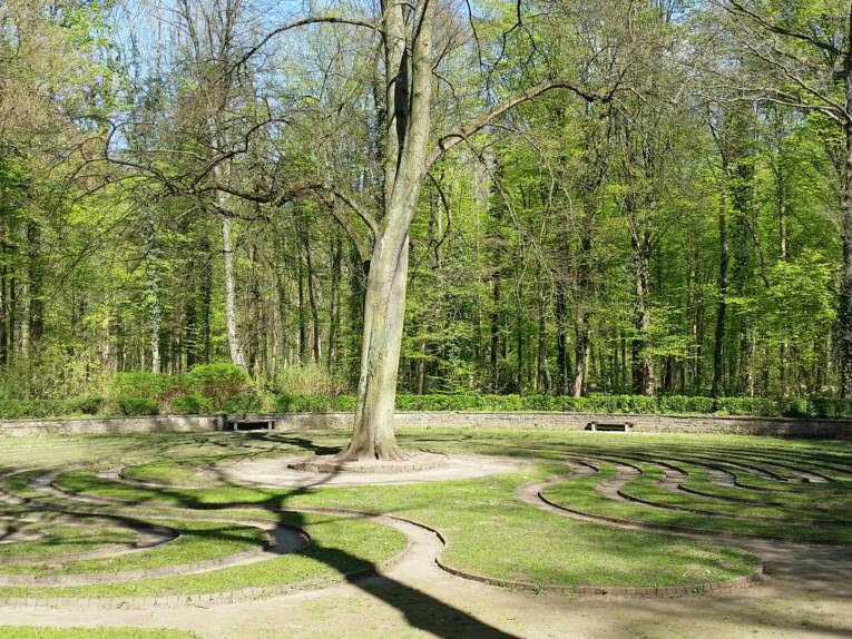 Rasenlabyrinth mit Baum in der Mitte.
