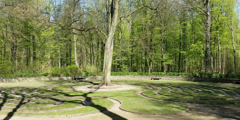 Rasenlabyrinth mit Baum in der Mitte.