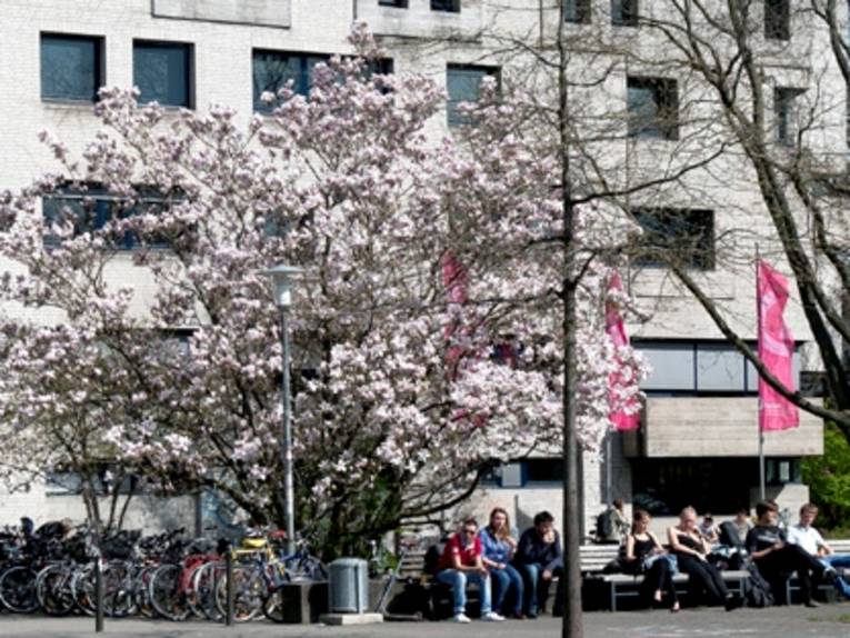Menschen sitzen auf einer Bank, neben der ein großer Baum steht. 