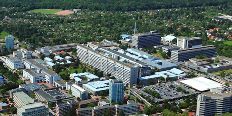 Luftaufnahme einer Stadt mit großer Grünfläche.