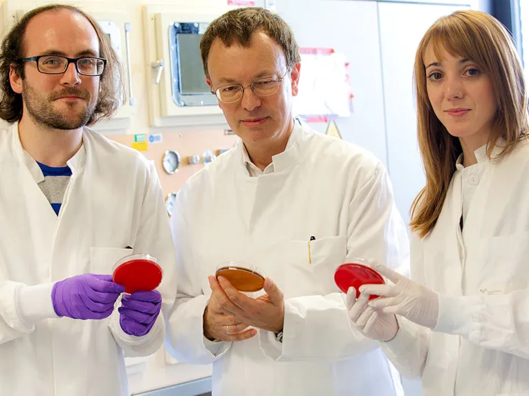 Zwei Männer und eine Frau in weißen Kitteln mit Petrischalen.