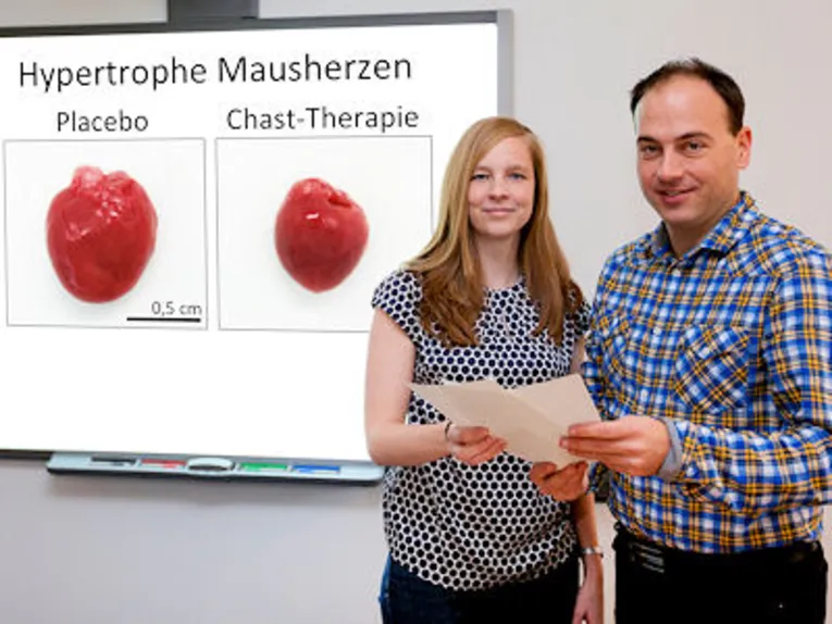 Eine Frau und ein Mann vor Tafel mit der Aufschrift "Hypertrophe Mausherzen"