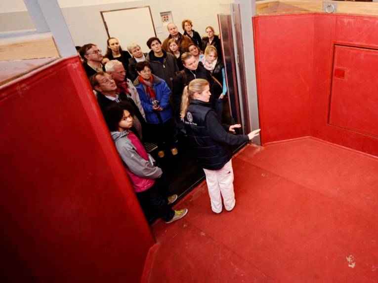 Aufwachbox in der TiHO-Klinik für Pferde