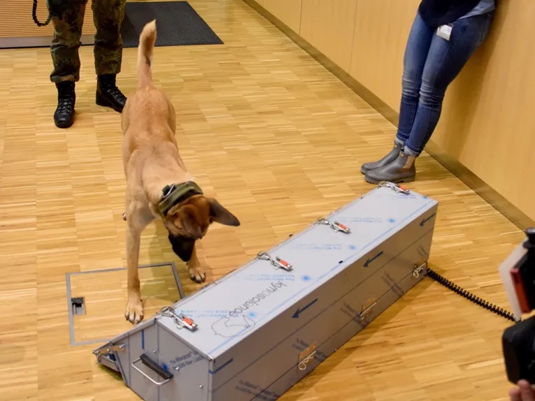 Ein Hund steht vor einem länglichen, silbergrauen Behälter.