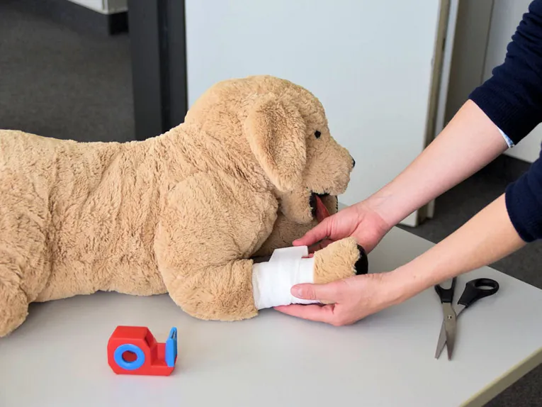 Stoffhund auf einem Tisch, dem eine Pfote verbunden wird.