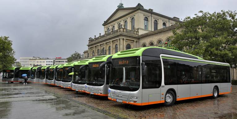 Acht Busse nebeneinander vor einem Gebäude.