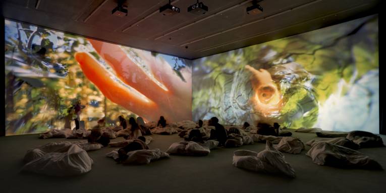 Menschen sitzen und liegen auf dem Boden eines großen Raumes an dessen Wände Aufnahmen aus einem Garten projiziert werden.