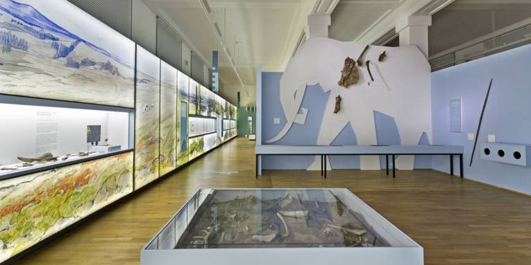 Raum mit Ausstellungsvitrinen 