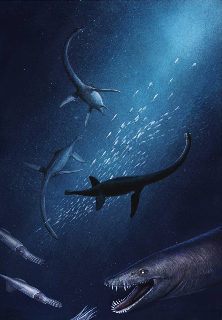 Grafik von Unterwassersauriern