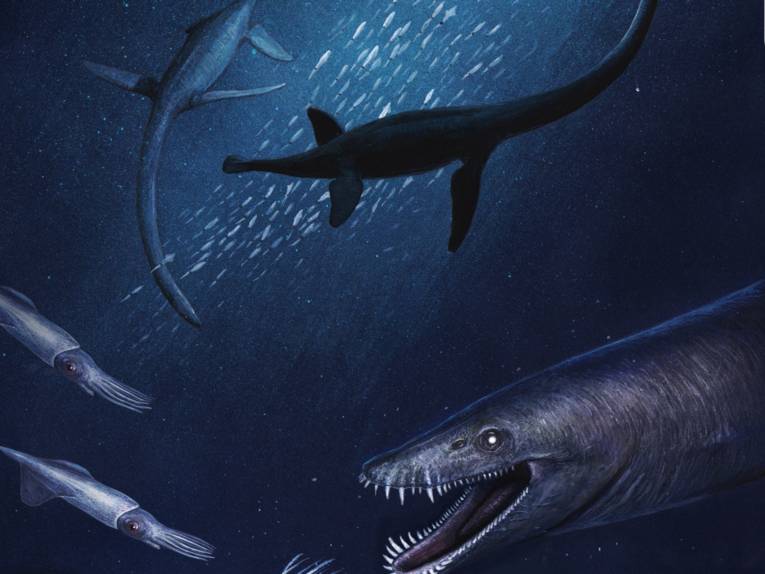 Grafik von Unterwassersauriern