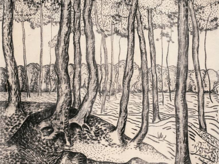 Zeichnung von Bäumen