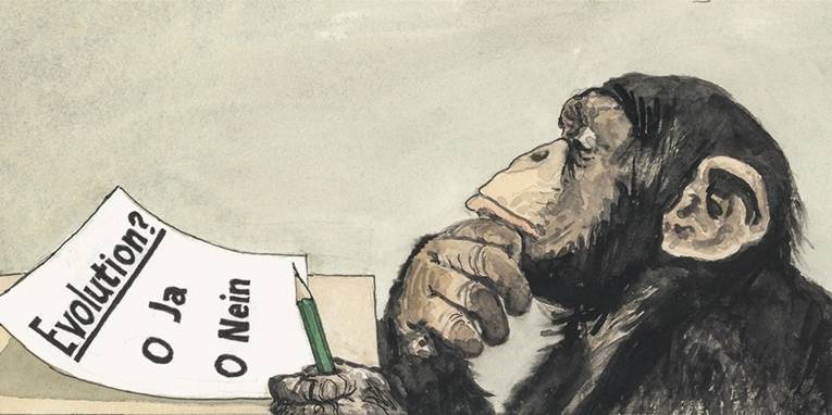 Zeichnung eines Affen