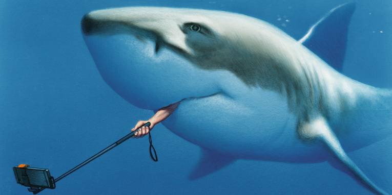 Zeichnung eines Haifisches, aus dessen Maul eine Hand ragt, die einen Selfie-Stick hält.