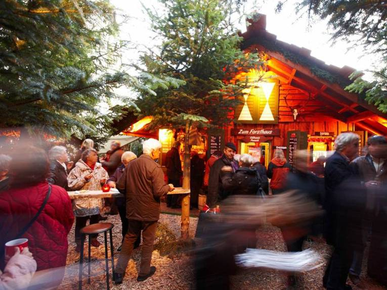 Wunschbrunnenwald mit Forsthaus