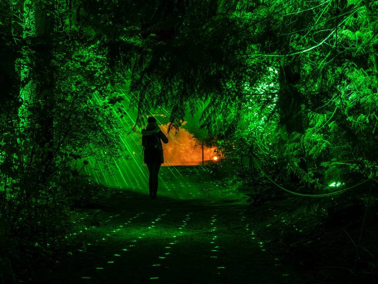 Ein grün beleuchteter Waldweg mit einer Person, die auf ein Lichtobjekt zugeht.