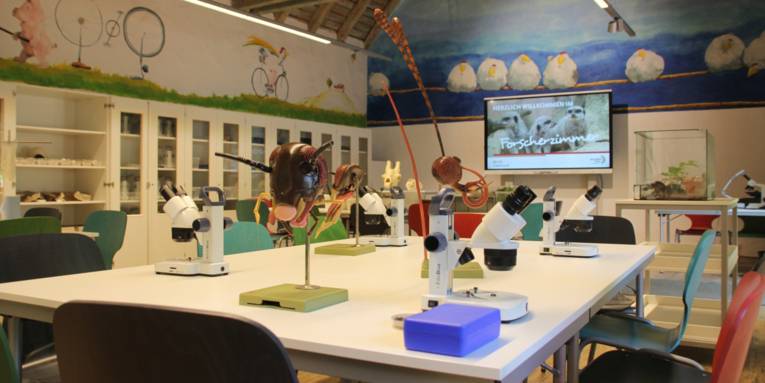 Raum mit Tischen und Stühlen, auf den Tischen stehen Mikroskope und Modelle von Insekten