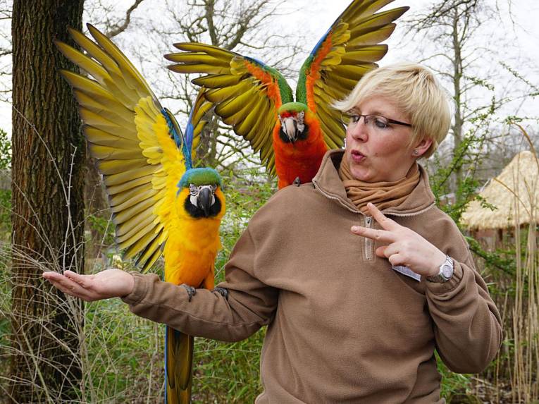 Frau mit zwei Papageien auf dem Arm