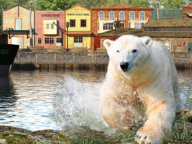 Eisbär in einer Landschaftskulisse