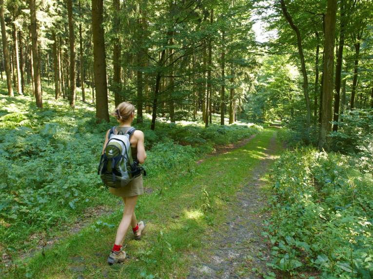 Wandern im Deister