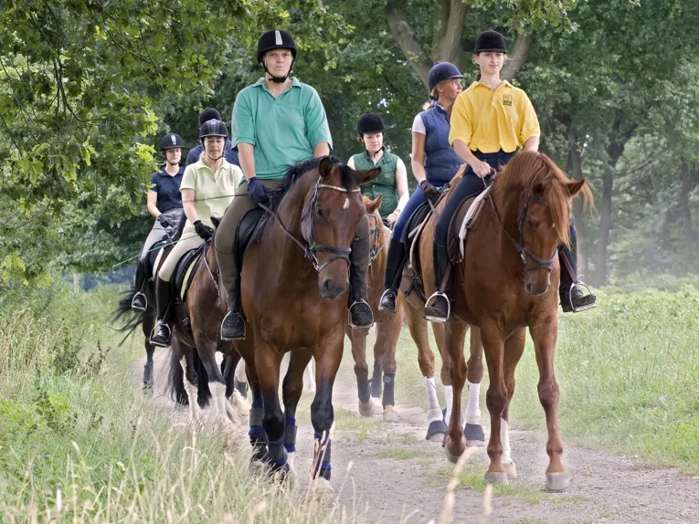 Reiter im Pferdeland Hannover
