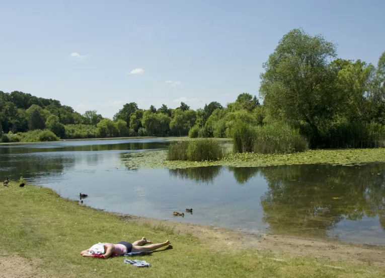 Waldsee mit Seerosen und Enten, am Ufer liegt eine Person und sonnt sich