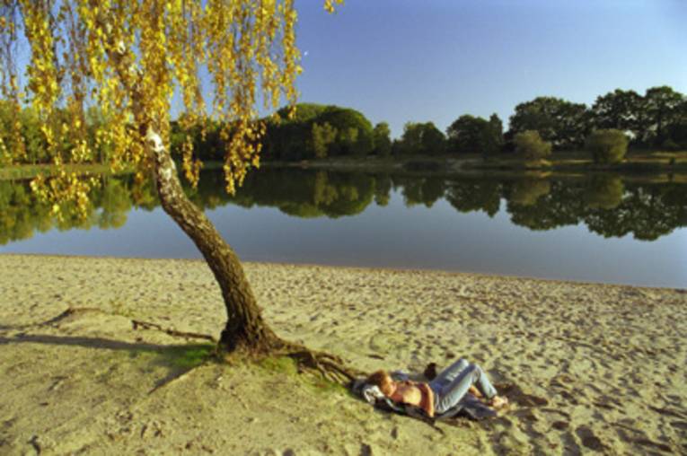 im Vordergrund Sandstrand und eine Birke, an der Birke liegt ein sonnenbadender Mann, im Hintergrund der See 