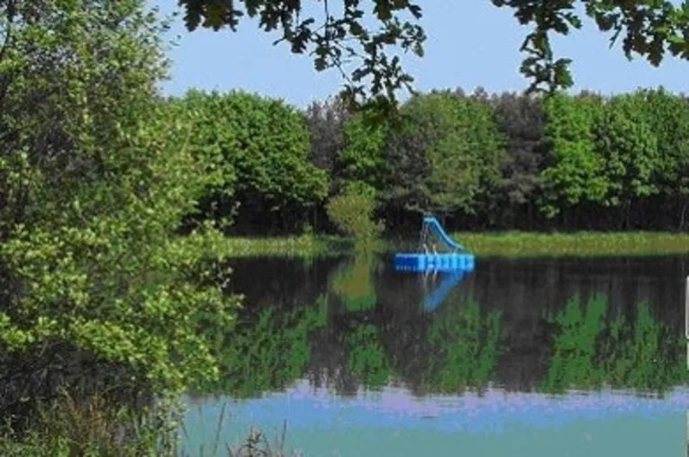 Waldsee im Hainwald
