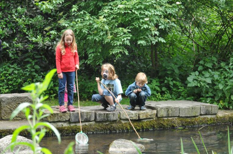 Drei Kinder keschern an einem Teich
