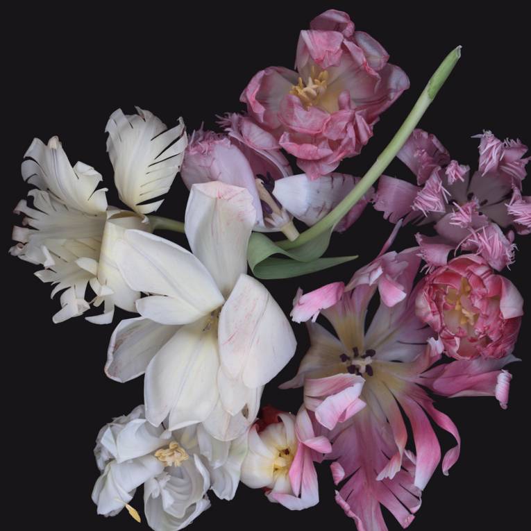 Luzia Simons (*1953, Quixadá Ceará, Brasilien), Stockage 107, 2010, Scannogramm, Lightjet Print/Diasec, 100 x 100 cm © VG Bild-Kunst, Bonn 2014