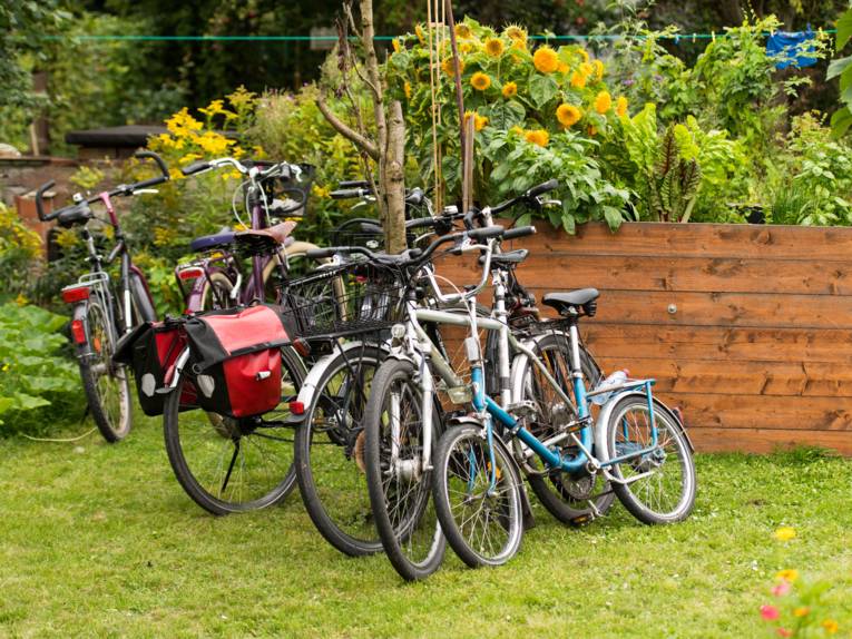 Mehrere Fahrräder auf einer Rasenfläche im Garten.