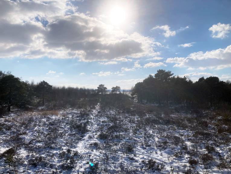 Die Landschaft wirkt vom Schnee wie mit Zucker best&auml;upt.