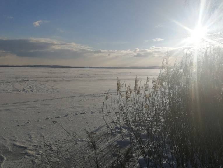 Die Sonne blitzt zwischen Uferbewuchs hervor, die Umgebung ist verschneit.