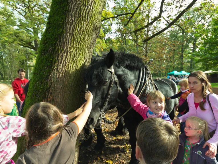 Kindern streicheln ein Rückepferd