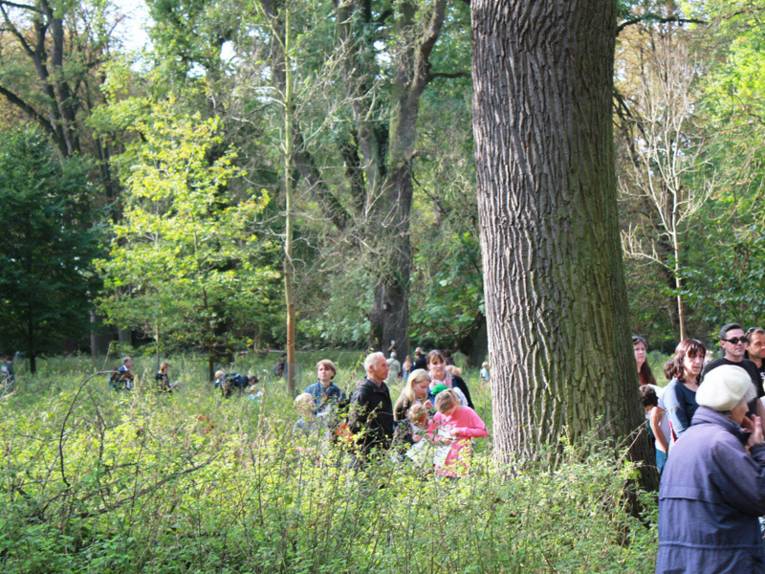 Zwischen jungen und alten Bäumen auf einer Lichtung: Familien erkunden den Waldentdeckerpfad