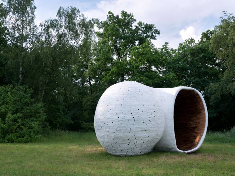 Organisches Landschaftskunstobjekt "Shelter 5" der Intrarregionale 2016 in Resse, Wedemark. Es erinnert leicht an ein Schneckenhaus, im Inneren sind zwei Plätze zum Verweilen.