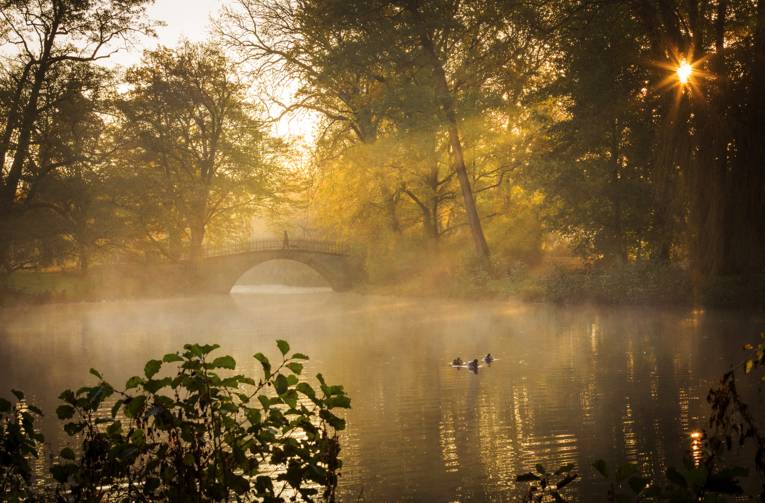 Die Augustenbrücke im Georgengarten erscheint auf dem Bild von Lars Gerhardts im morgendlichen Glanz im November.
