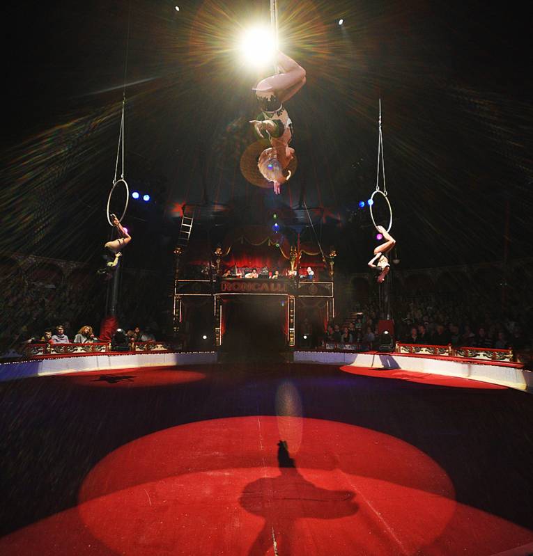 An drei an Seilen aufgehängten Ringen hängt je eine Artistin kopfüber.