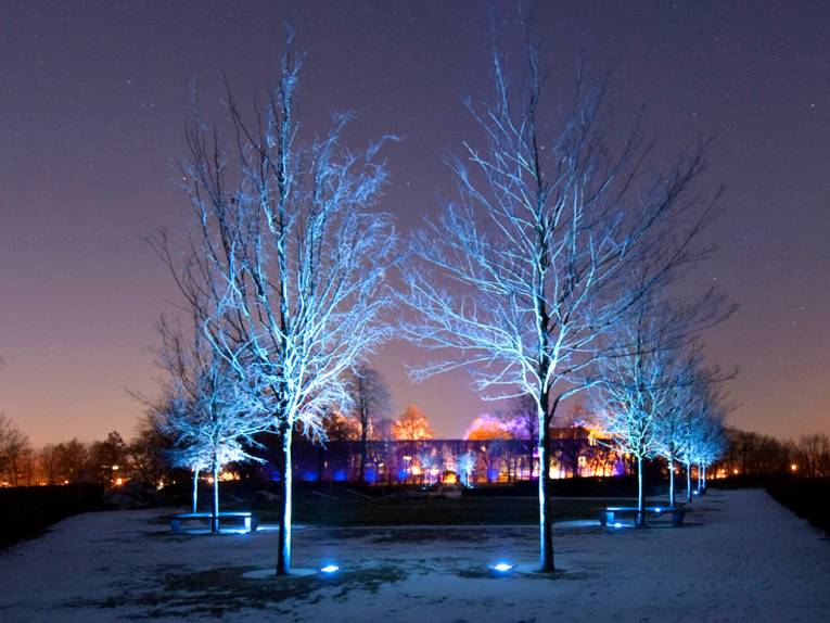 Die Lichtinstallation „Amore e vita“ der Künstlerin Yvonne Goulbier taucht winterliche Bäume im Amtsgarten von Schloss Landestrost in blaues Licht. Im Hintergrund sind die blau leuchtenden Hainbuchen zu erkennen