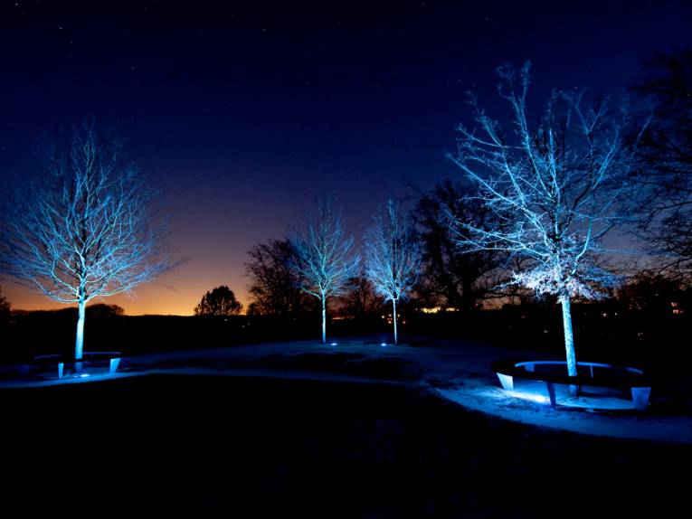 Die Lichtinstallation "Amore e vita" der Künstlerin Yvonne Goulbier taucht winterliche Bäume im Amtsgarten von Schloss Landestrost in blaues Licht. Am Abendhimmel ist ein schmaler, gelber Streifen der untergehenden Sonne zu erkennen.