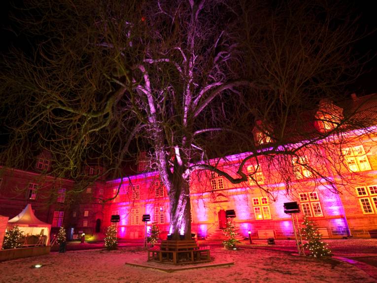 Die Lichtinstallation „Amore e vita“ der Künstlerin Yvonne Goulbier taucht das Hauptgebäude des Neustädter Schlosses Landestrost in rotes Licht. Geschmückte Weihnachtsbäume stehen unter der alten Kastanie im Schlosshof.