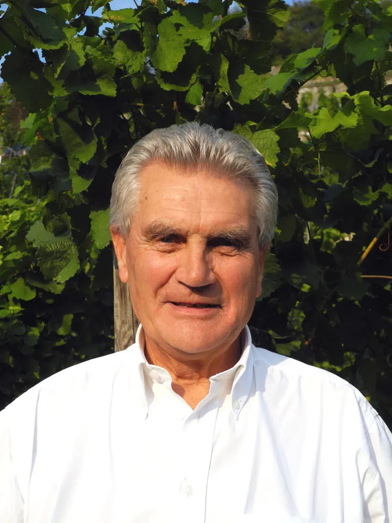Porträtfoto von Dr. Michael Arnd